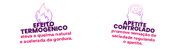 Mini 1 vitrine-mini mobile