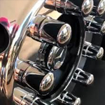 Capas Porca vitrine-destaque