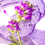 ÍCONE Skincare noturno vitrine-22806017
