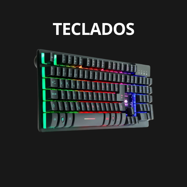 teclados vitrine-mini