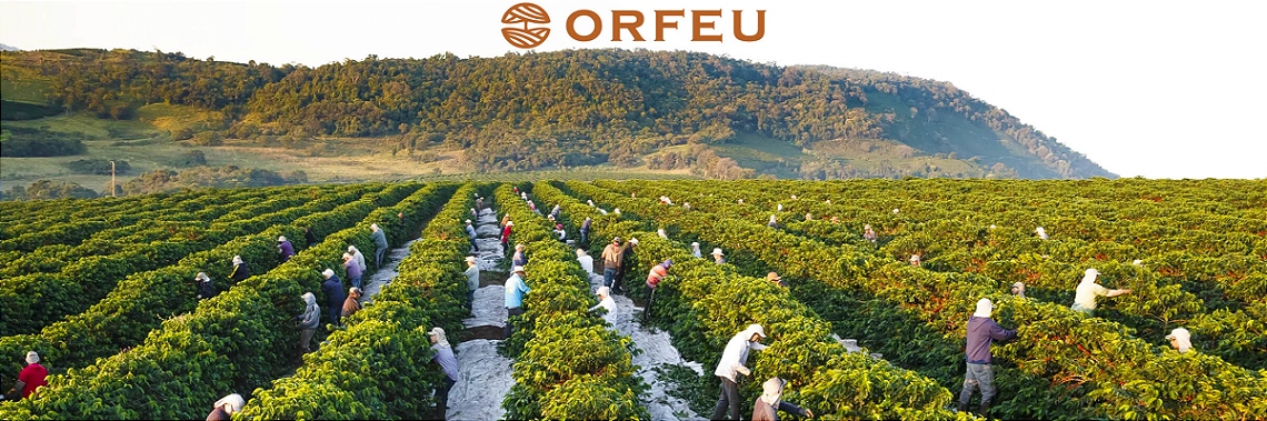 Banner Marca Orfeu Novo