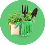 Banner categoria 10 vitrine-destaque