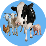 Banner categoria 5 vitrine-destaque