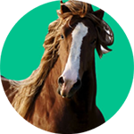 Banner categoria 6 vitrine-destaque