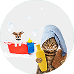 Banner categoria 08 vitrine-destaque