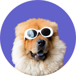 Banner categoria 1 vitrine-destaque