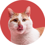 Banner categoria 2 vitrine-destaque