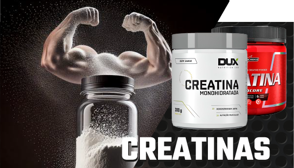 cookies vitrine-mini