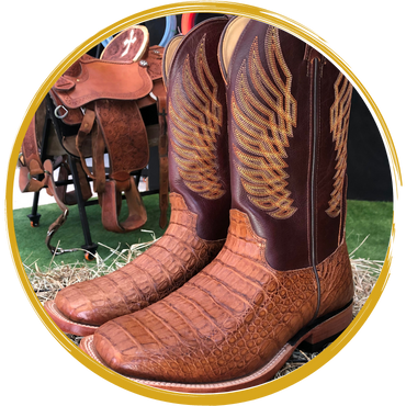 Banner Categoria 6 vitrine-marcas