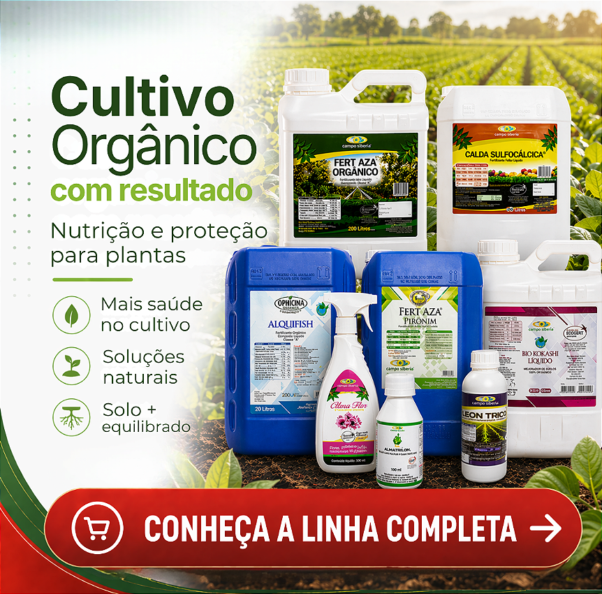 Mini Banner 3 vitrine-mini