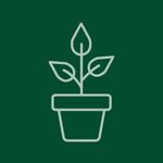 Banner Categoria 4 vitrine-lancamento