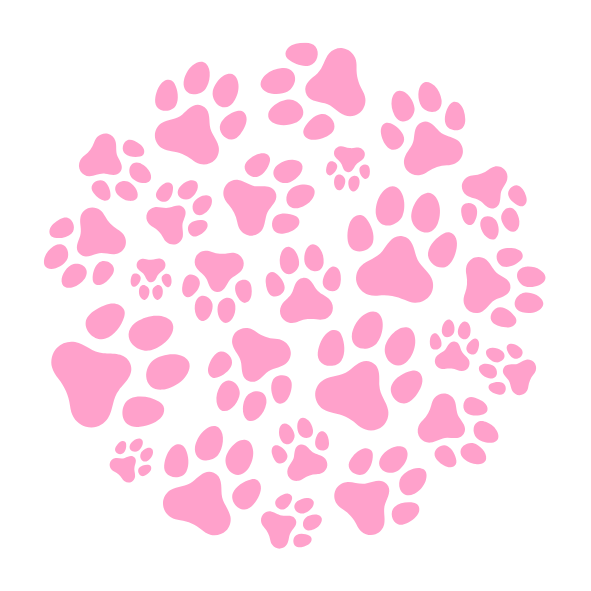 Banner Categoria 2 vitrine-destaque