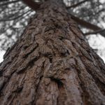 Banner amadeirados vitrine-destaque