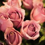 Banner floral vitrine-destaque