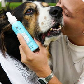 Categoria1vitrine-mas-vendido