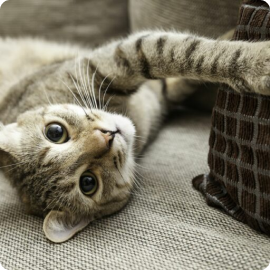 Categoria2vitrine-mas-vendido