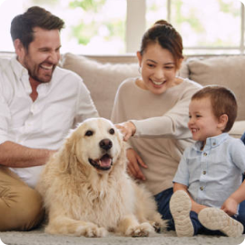 Catgoria4vitrine-mas-vendido