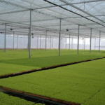 agricola categoria 3 vitrine-mas-vendido