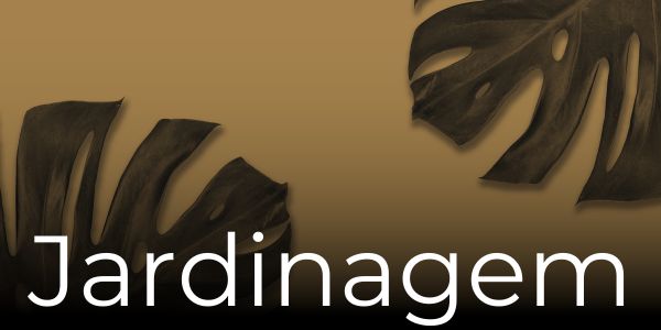 banner 3 vitrine-mas-vendido