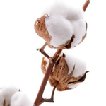 Banner Categoria 1 vitrine-mas-vendido