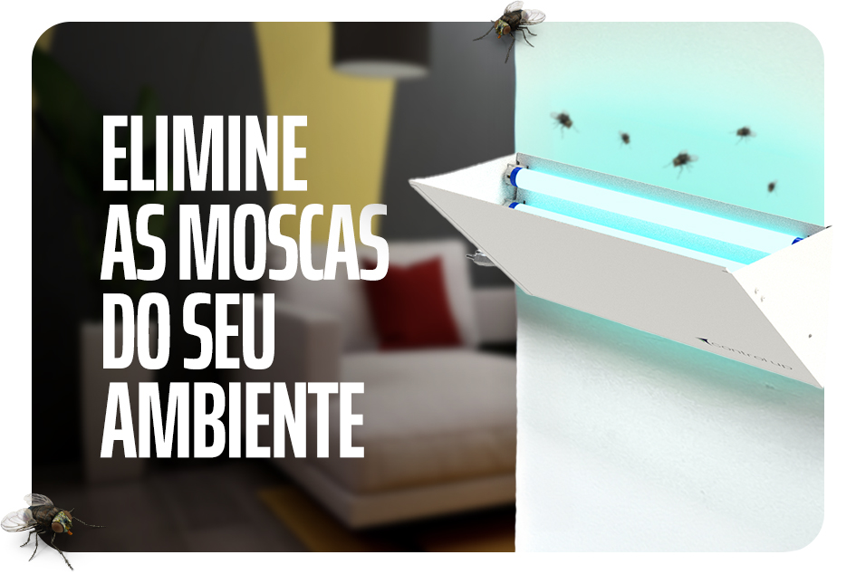 Mini 1 vitrine-mini mobile