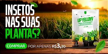 Banner Extra 2 vitrine-lancamento