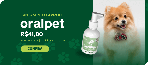 Banner Extra 2 vitrine-lancamento