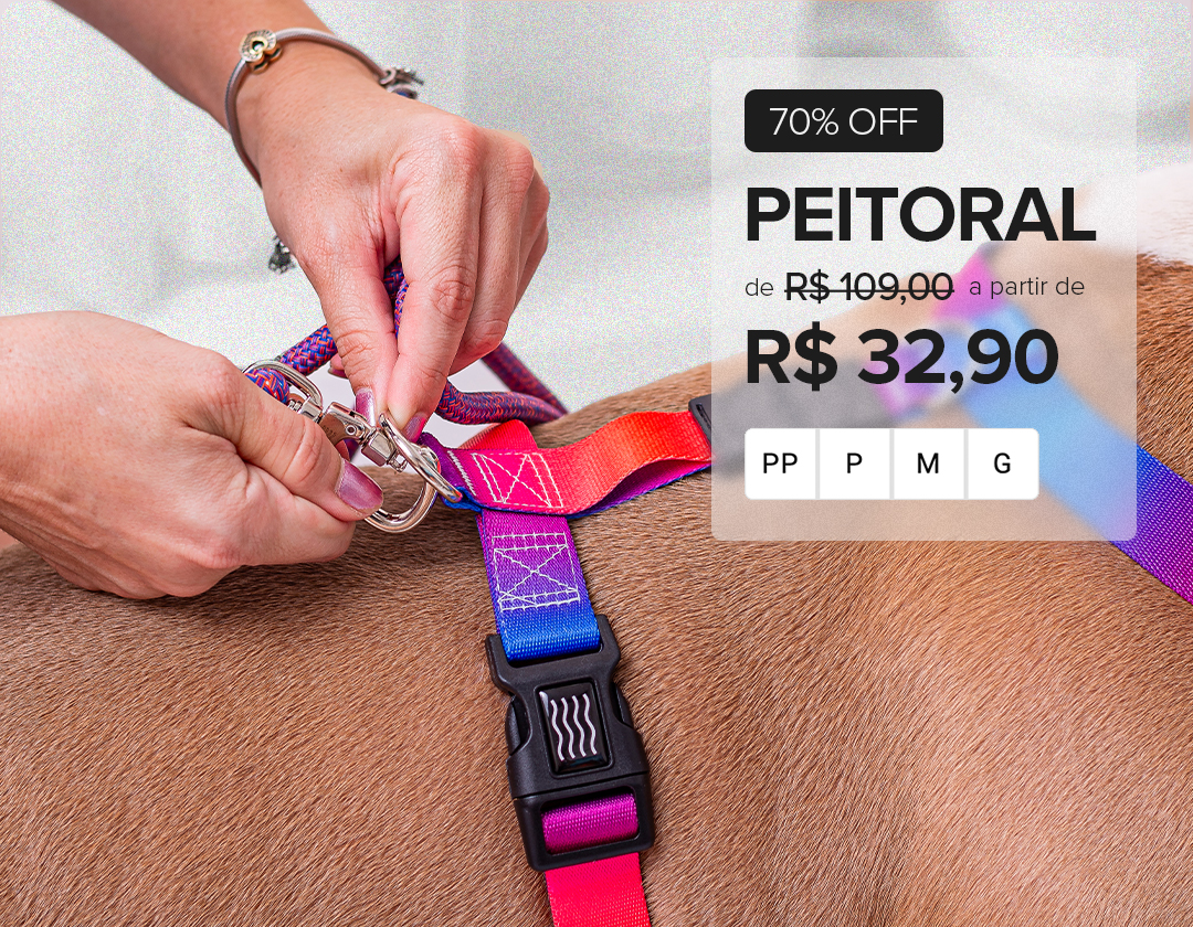 Mini 01 vitrine-destaque