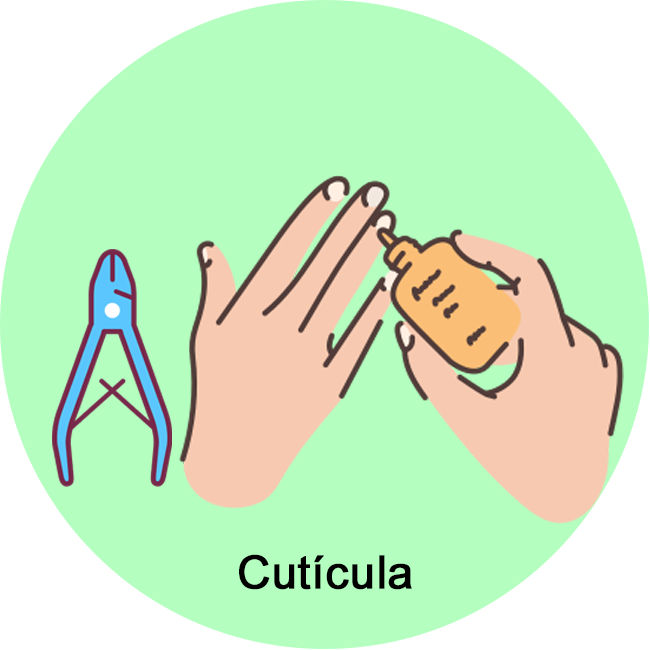 Cuticula  vitrine-mini