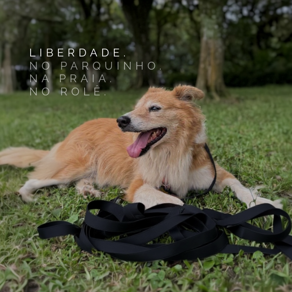 Promo vitrine-23762639 mobile