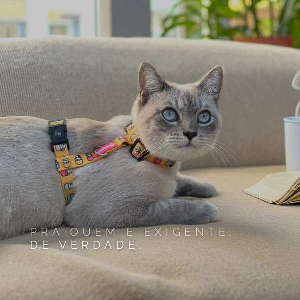 petra vitrine-20300246 mobile