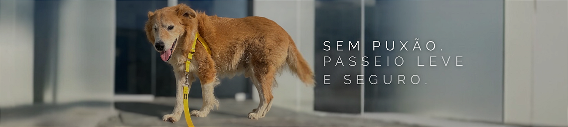 Peitoral Anti vitrine-20300242