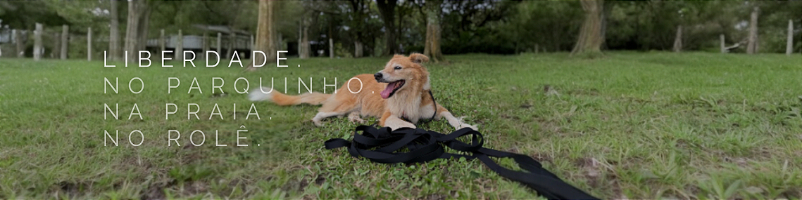 Promo vitrine-23762639