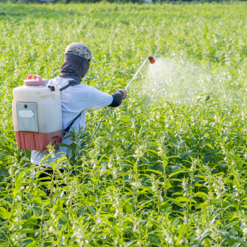 Banner Categoria 6 vitrine-mas-vendido