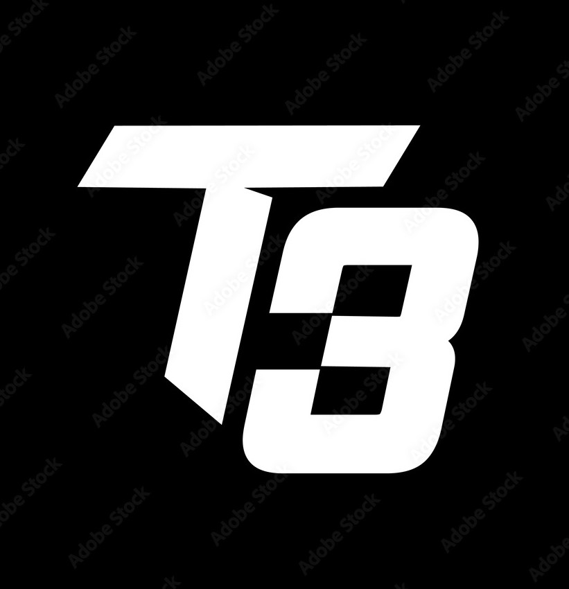 T3