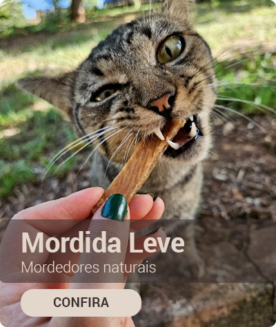 Mini banner 1 Mordida Leve vitrine-mini