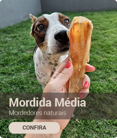 Mini Banner 2 Mordida Média vitrine-mini