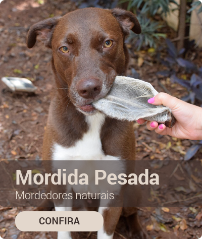 Mini Banner 3 Mordida Pesada vitrine-mini