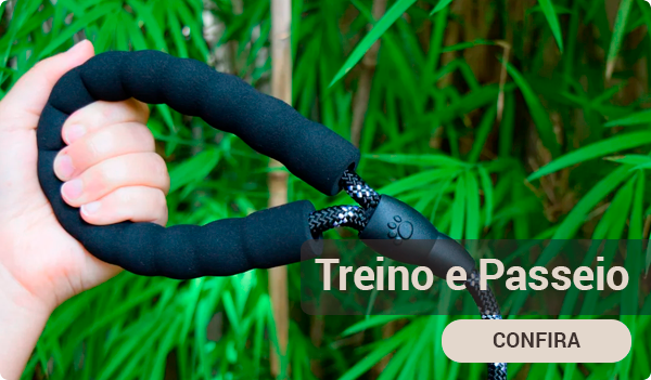 Mini Banner 2 Treino e Passeio vitrine-lancamento