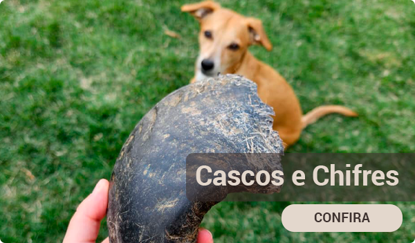 Mini Banner 1 Cascos e Chifres vitrine-lancamento
