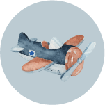 aviao vitrine-destaque