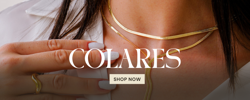 vitrine banner 3 vitrine-mini