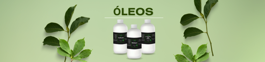 banner vitrine oleo