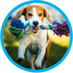 Banner Categoria 1 vitrine-mas-vendido