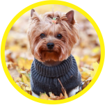 Banner Categoria 2 vitrine-mas-vendido