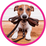 Banner Categoria 3 vitrine-mas-vendido