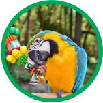 Banner Categoria 4 vitrine-mas-vendido