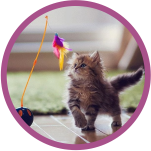 Banner Categoria 5 vitrine-mas-vendido