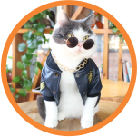 Banner Categoria 6 vitrine-mas-vendido