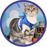 Banner Categoria 7 vitrine-mas-vendido